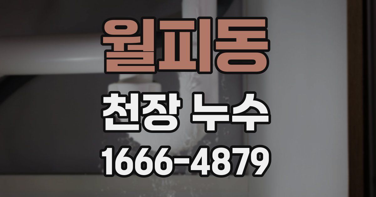 월피동 천장 누수