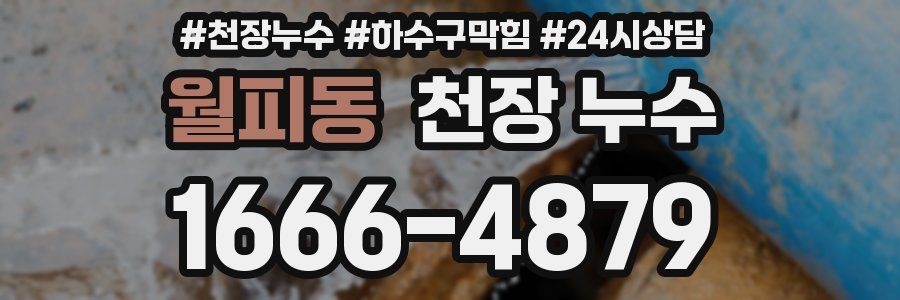 월피동 천장 누수