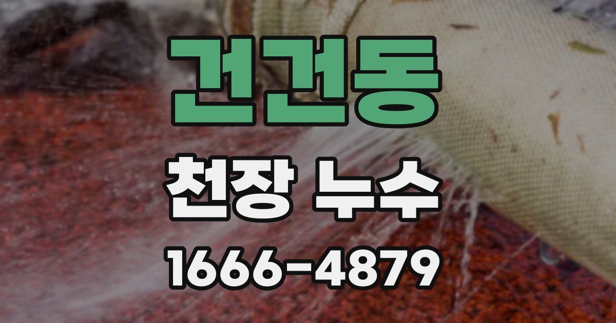 건건동 천장 누수