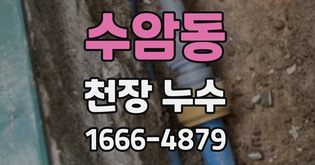 수암동 천장 누수