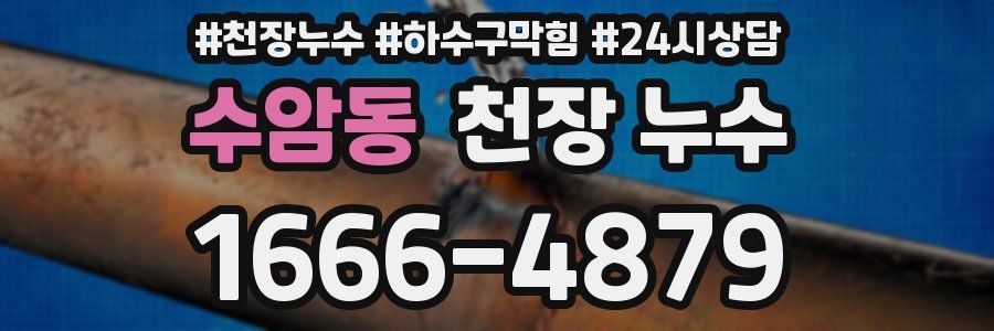 수암동 천장 누수