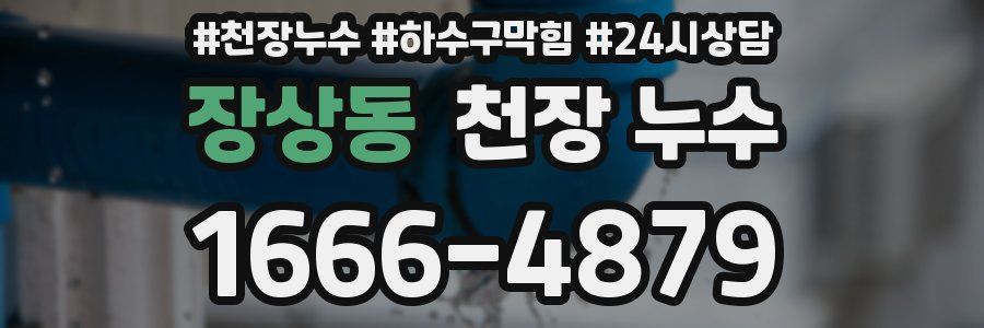 장상동 천장 누수