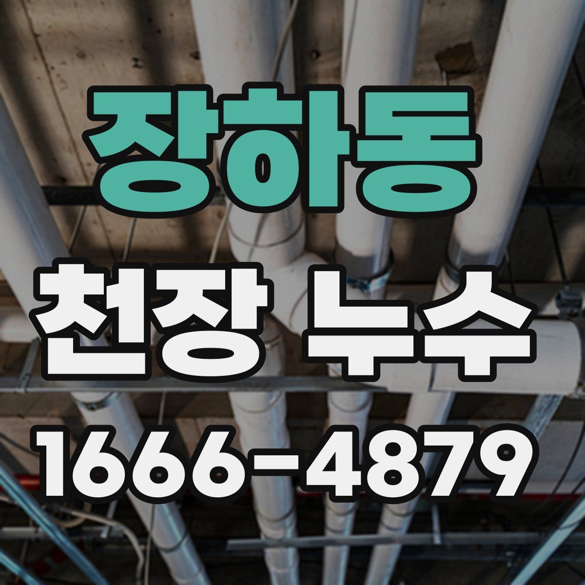 장하동 천장 누수