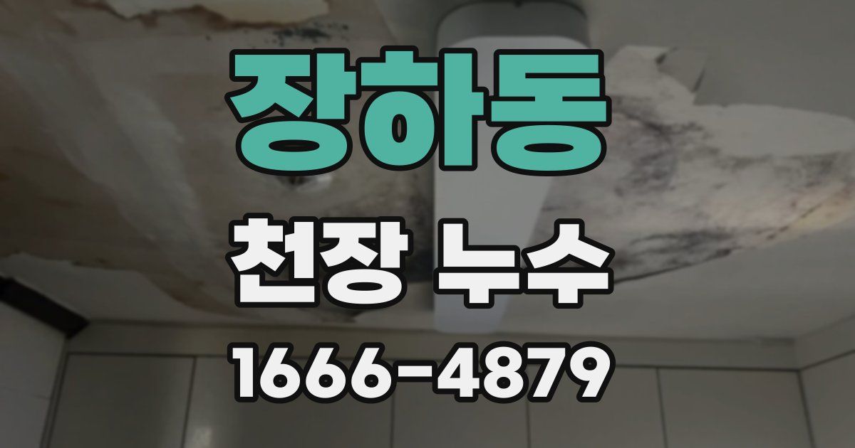 장하동 천장 누수