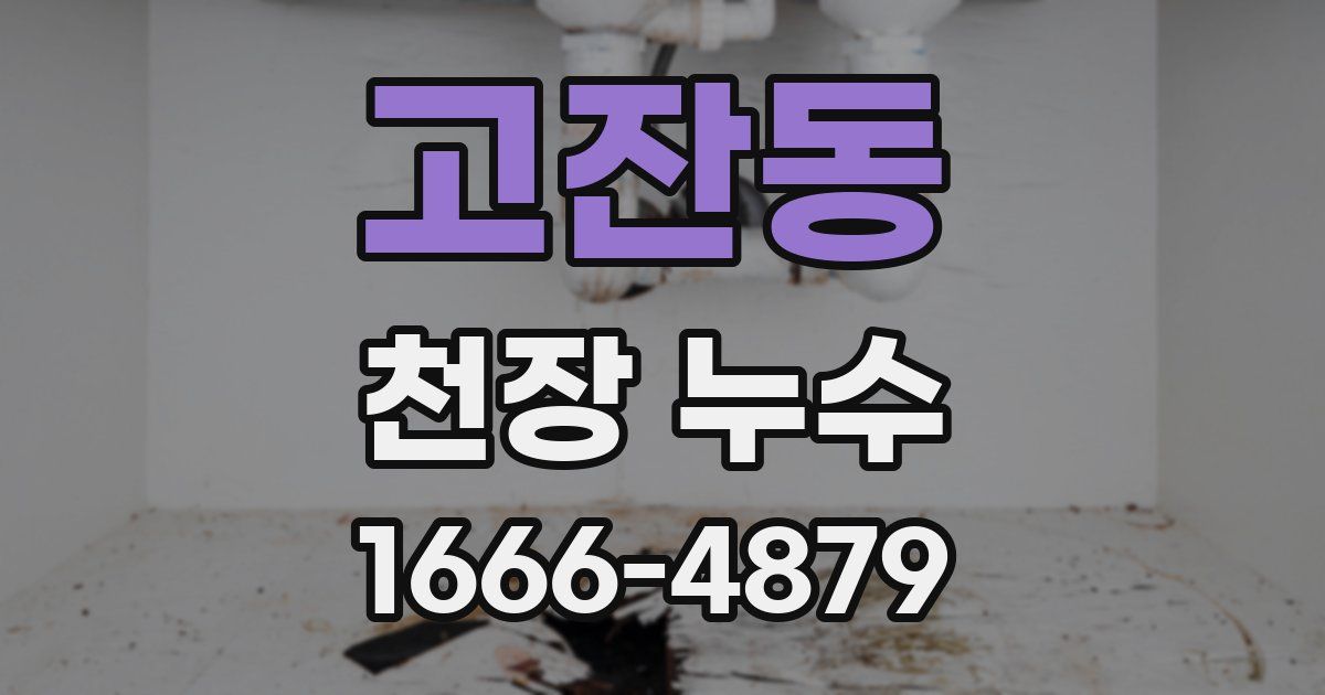 고잔동 천장 누수