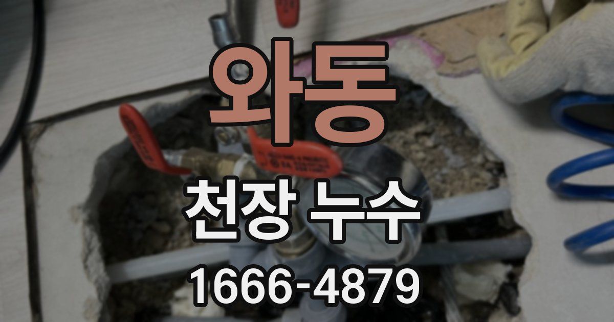 와동 천장 누수