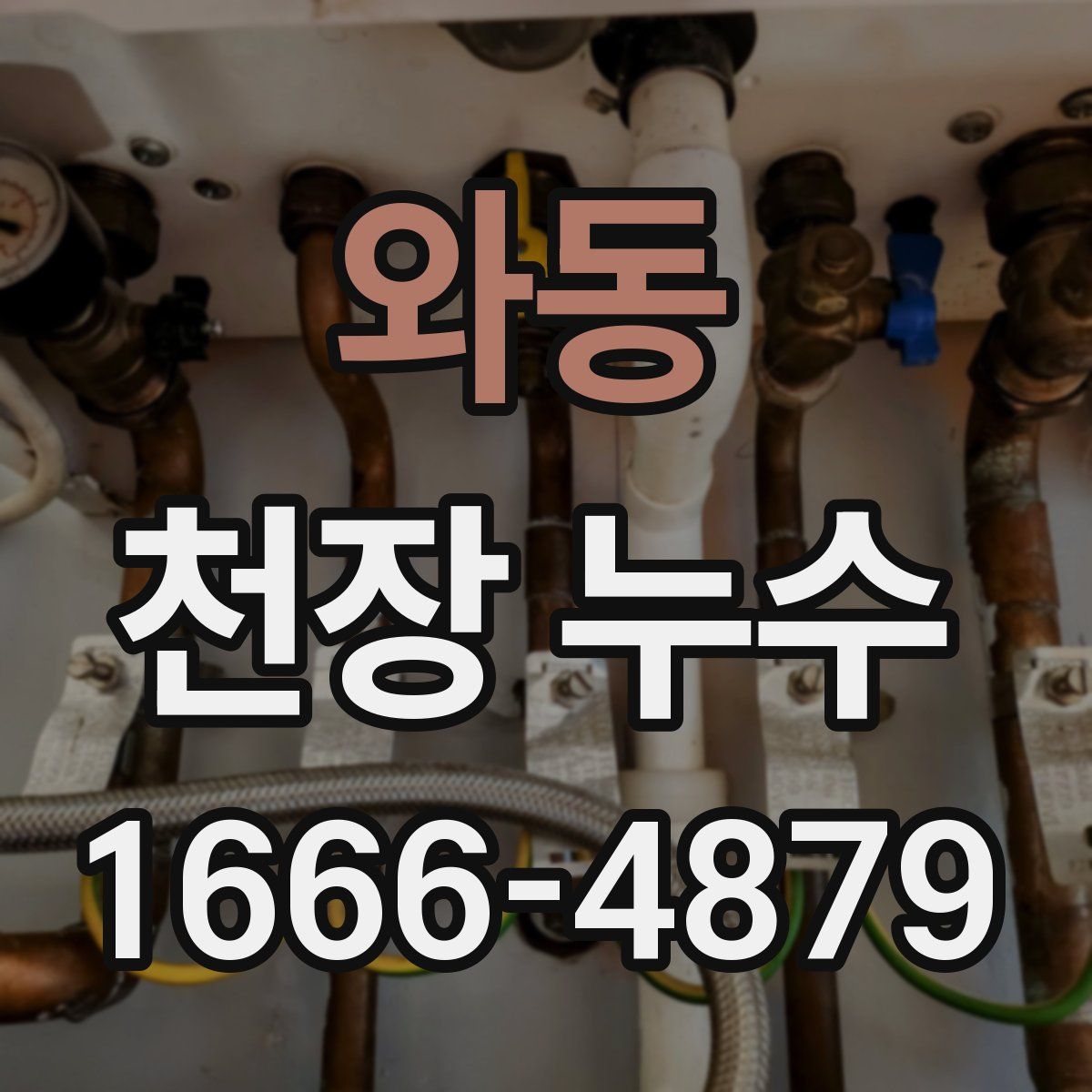 와동 천장 누수