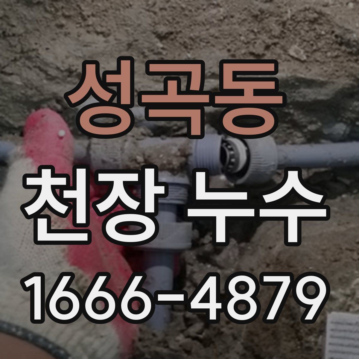 성곡동 천장 누수 천장 내부 습기로 곰팡이가 생길 때