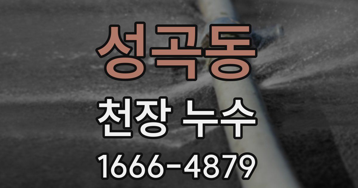 성곡동 천장 누수