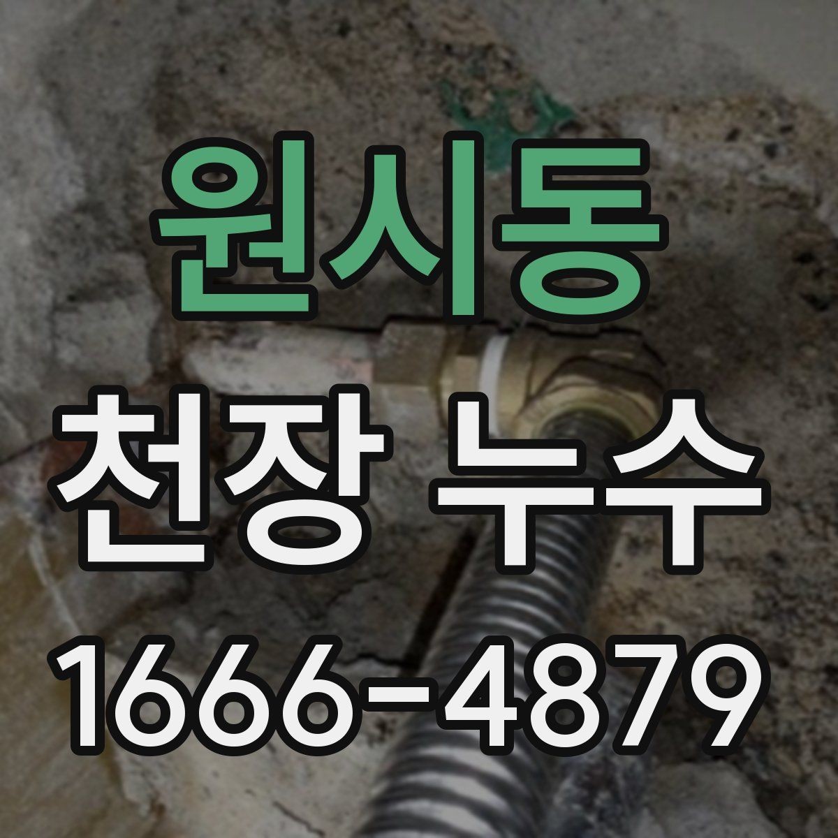 원시동 천장 누수 곰팡이가 번지기 전 확인하세요