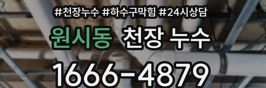 원시동 천장 누수
