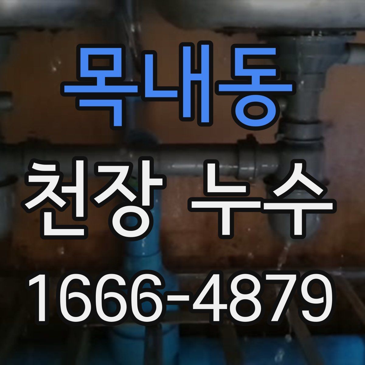 목내동 천장 누수 얼룩이 커지기 전에 해결