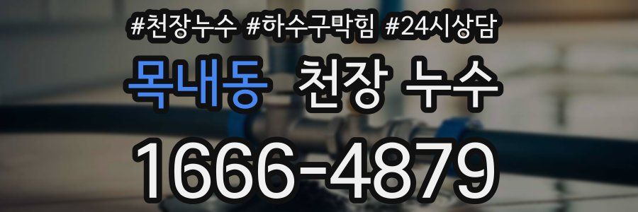 목내동 천장 누수