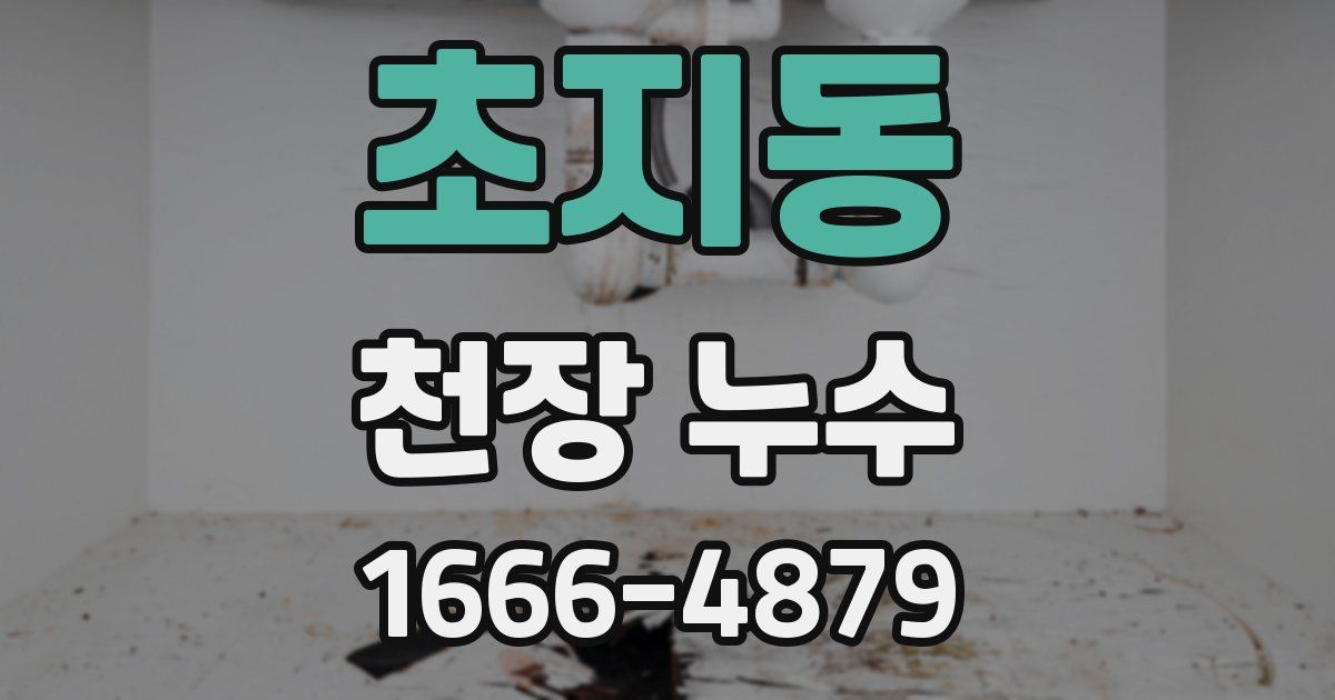 초지동 천장 누수