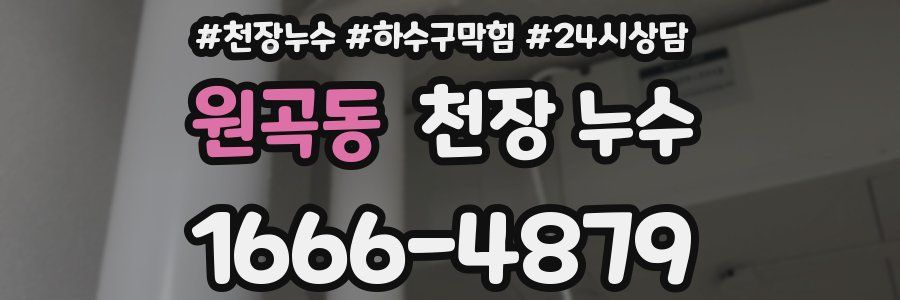 원곡동 천장 누수