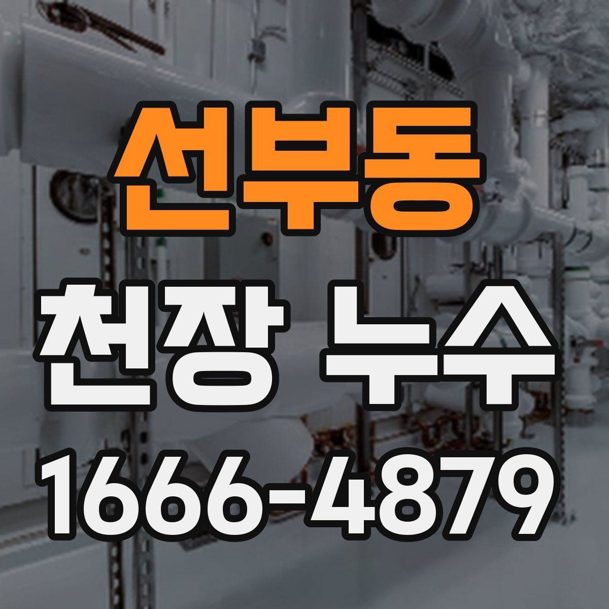 선부동 천장 누수 집이 눅눅해지기 전 점검하세요