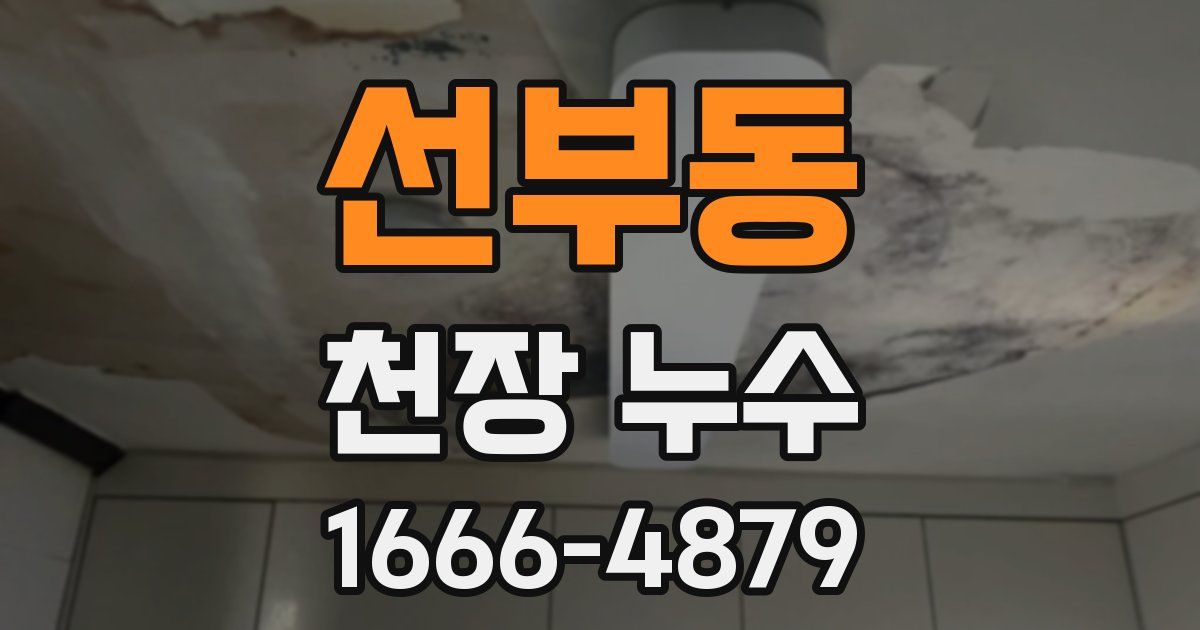 선부동 천장 누수