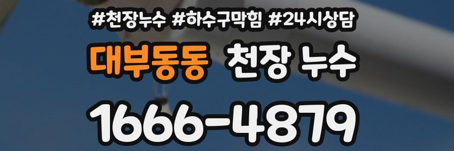 대부동동 천장 누수