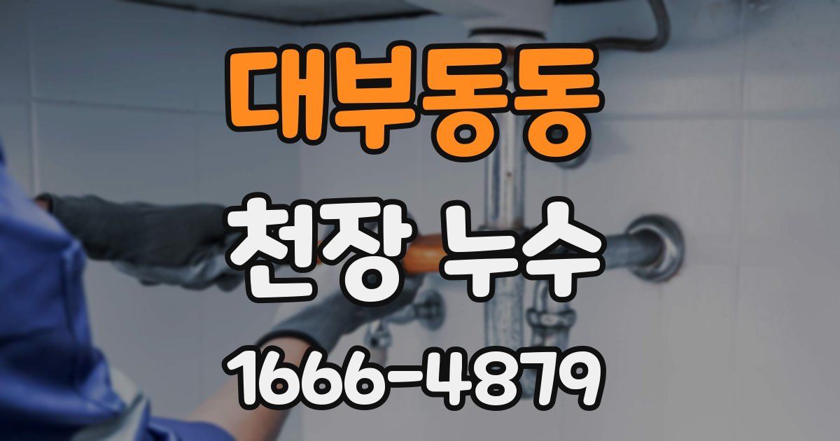 대부동동 천장 누수