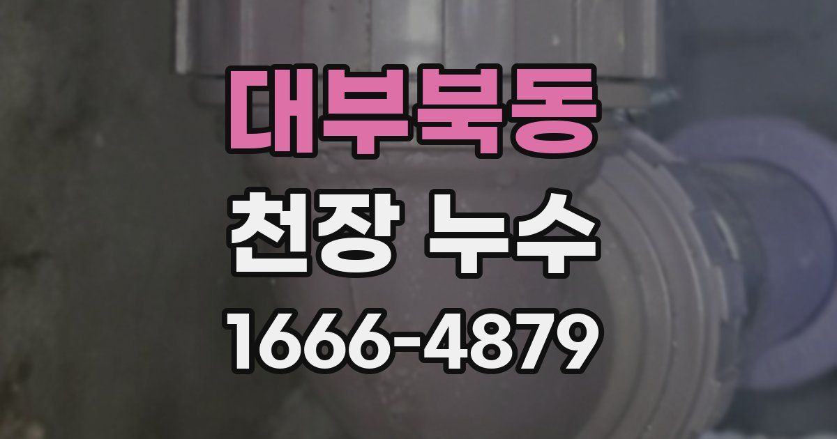 대부북동 천장 누수