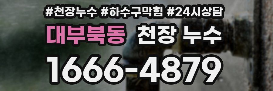 대부북동 천장 누수