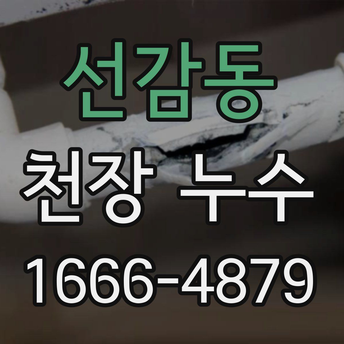 선감동 천장 누수