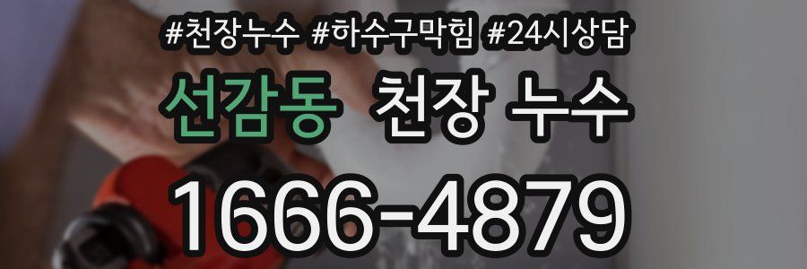 선감동 천장 누수