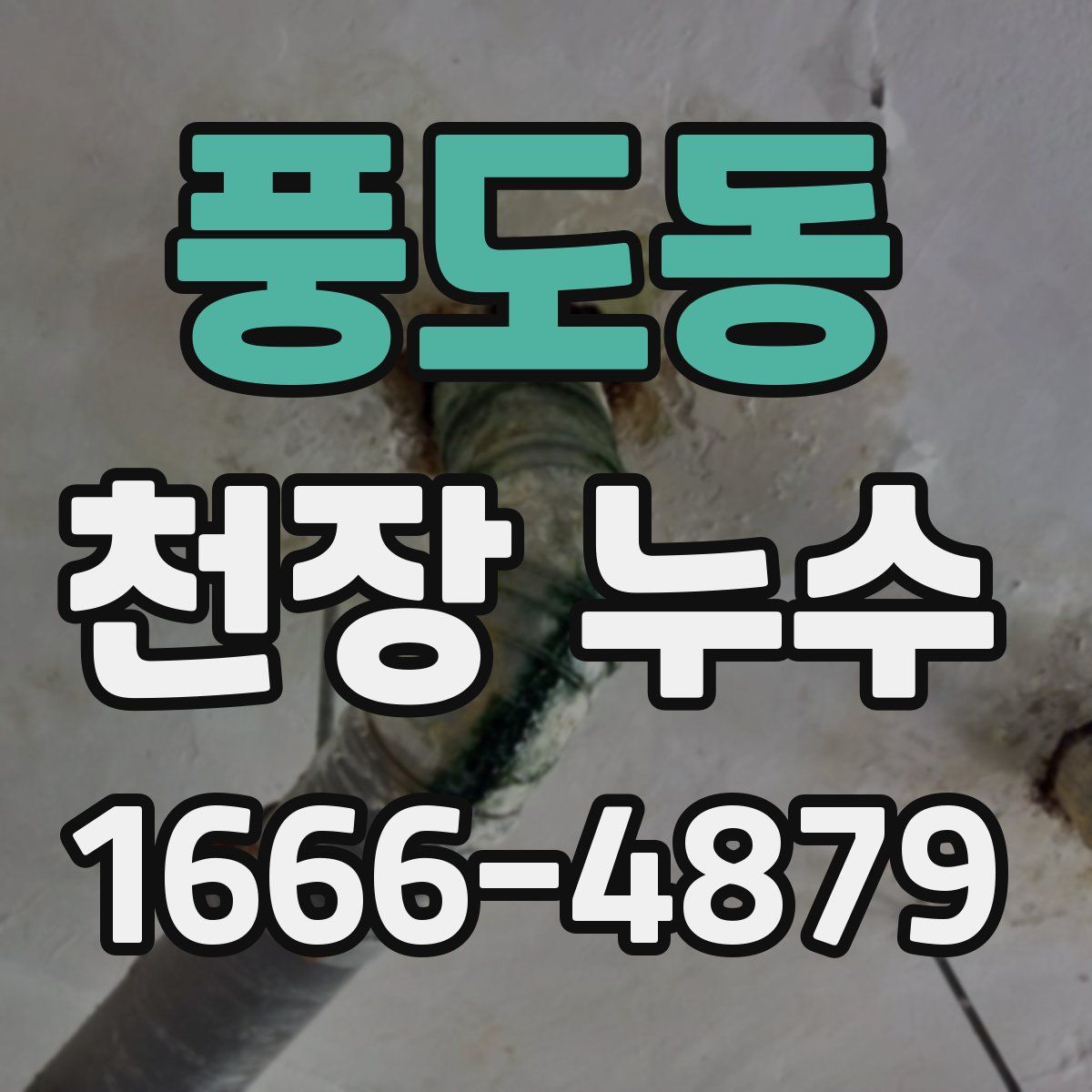 풍도동 천장 누수
