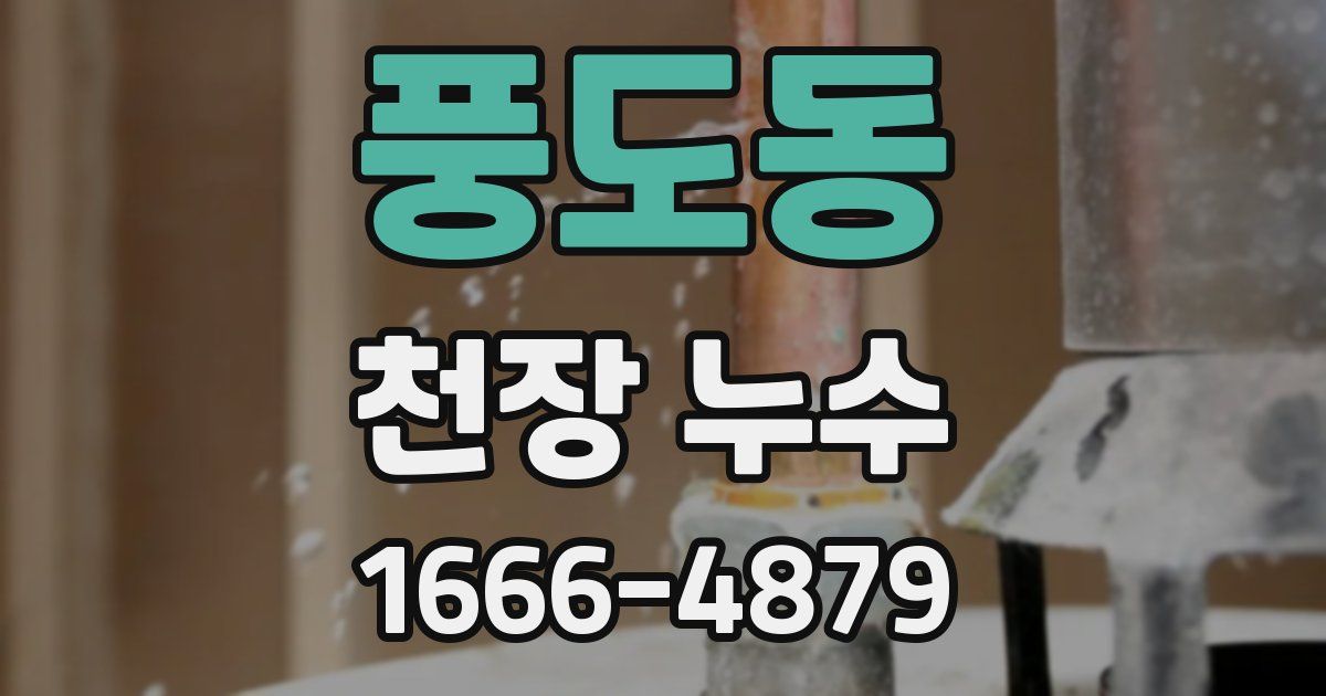 풍도동 천장 누수