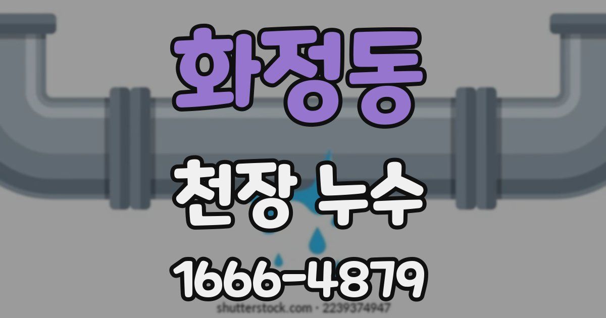 화정동 천장 누수