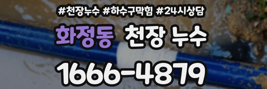 화정동 천장 누수