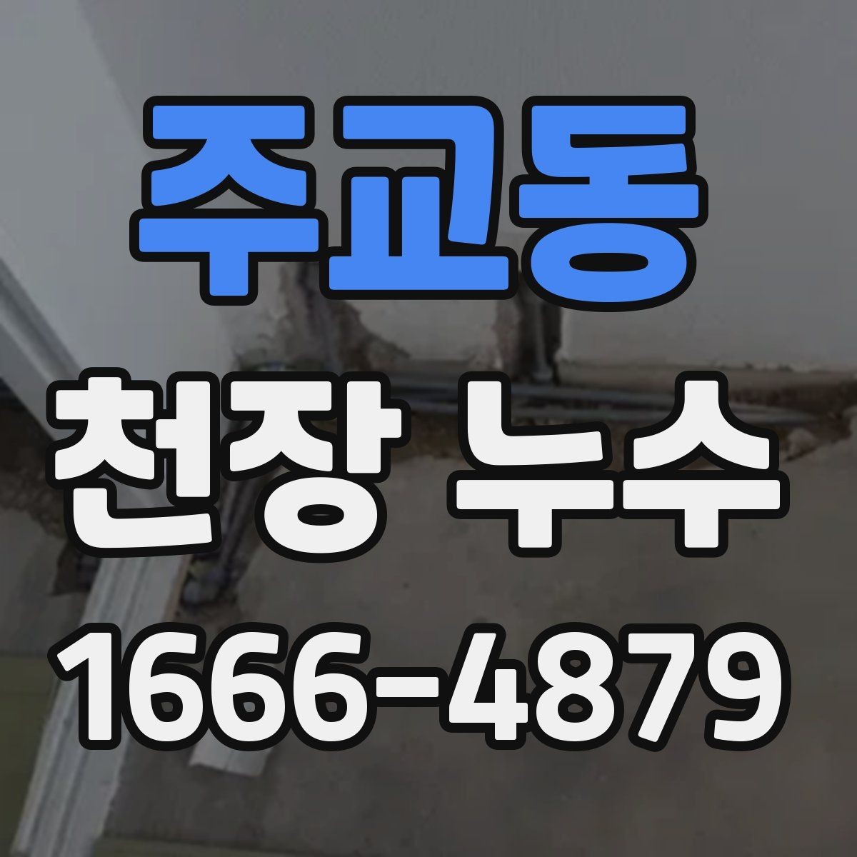 주교동 천장 누수 기록과 순서가 해결을 좌우합니다