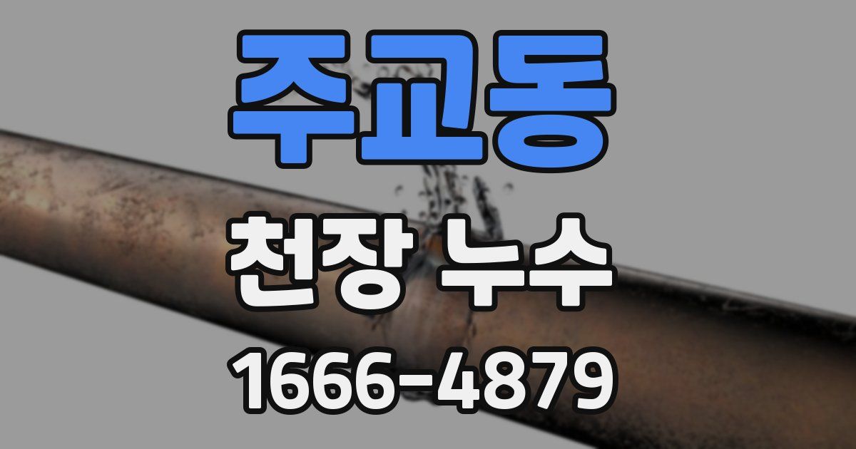 주교동 천장 누수