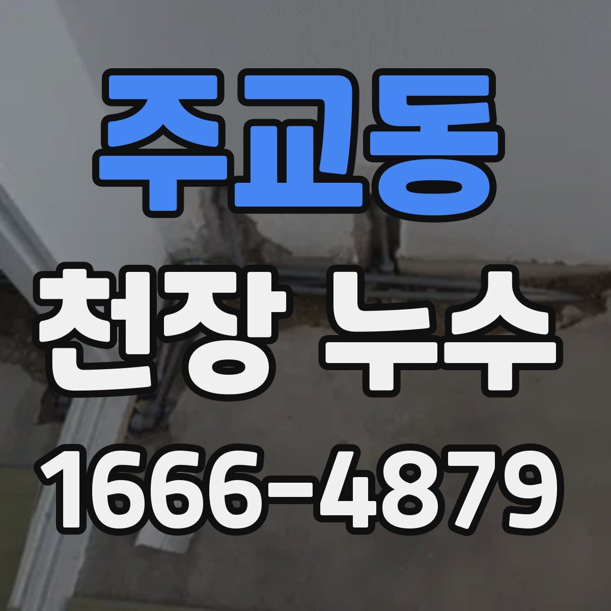 주교동 천장 누수