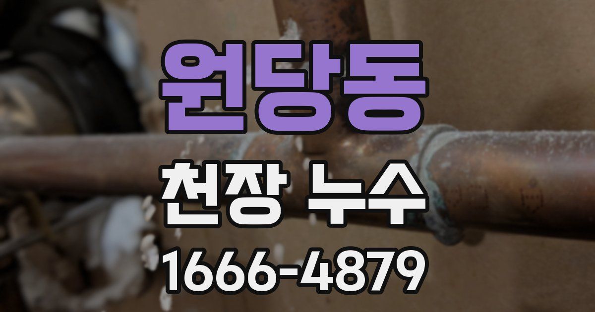 원당동 천장 누수