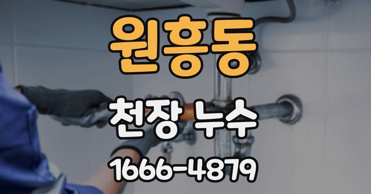 원흥동 천장 누수