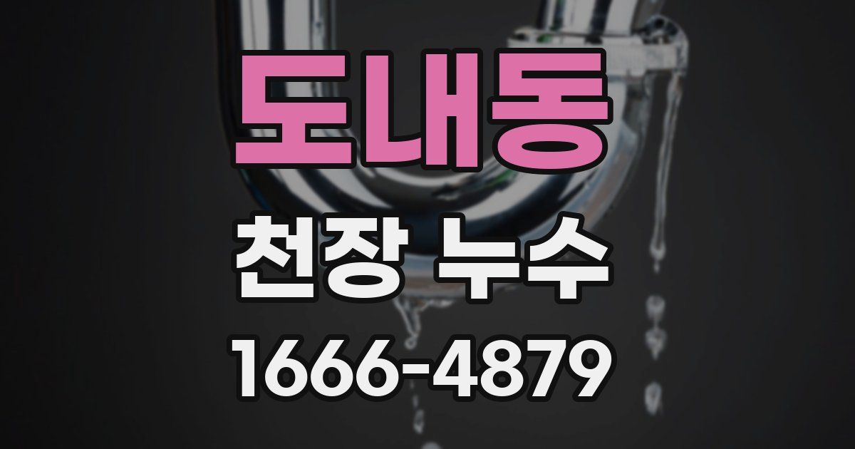 도내동 천장 누수