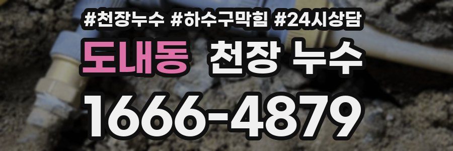 도내동 천장 누수