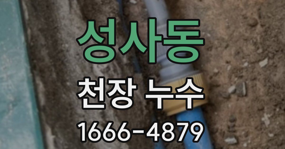 성사동 천장 누수