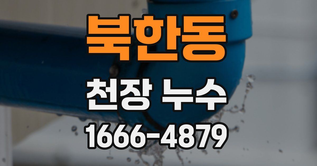 북한동 천장 누수