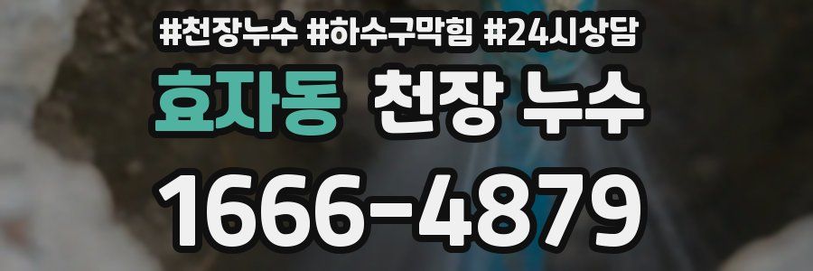 효자동 천장 누수