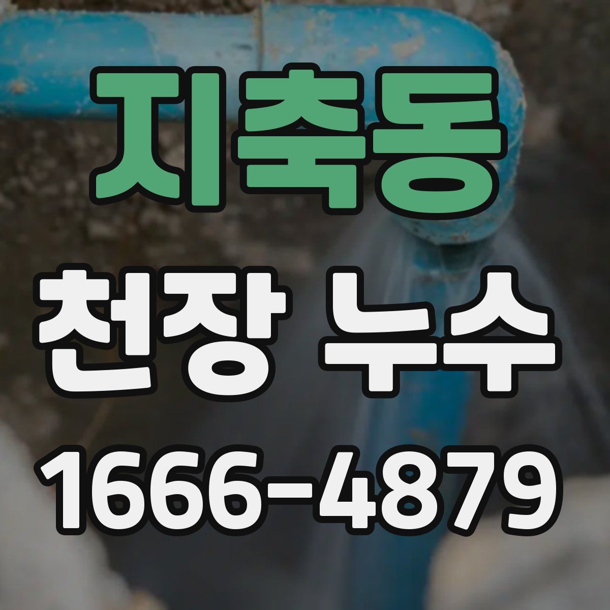 지축동 천장 누수