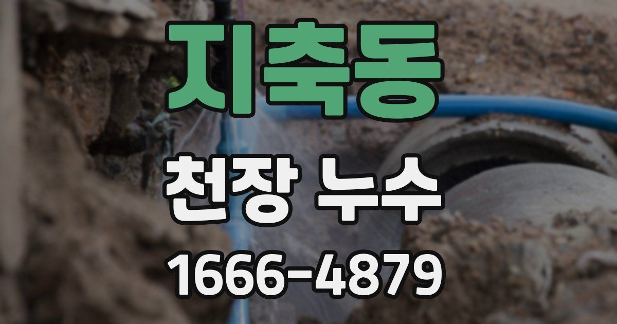 지축동 천장 누수