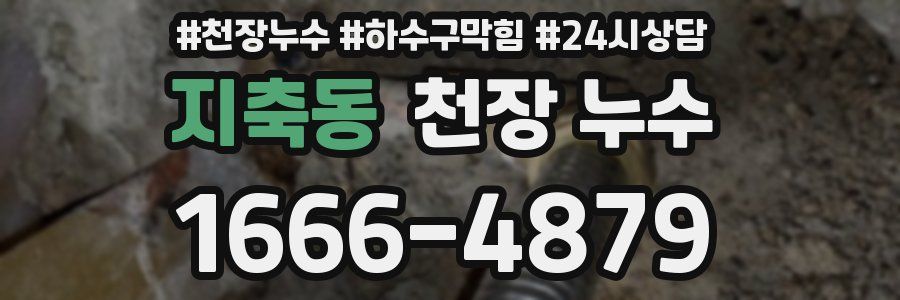 지축동 천장 누수