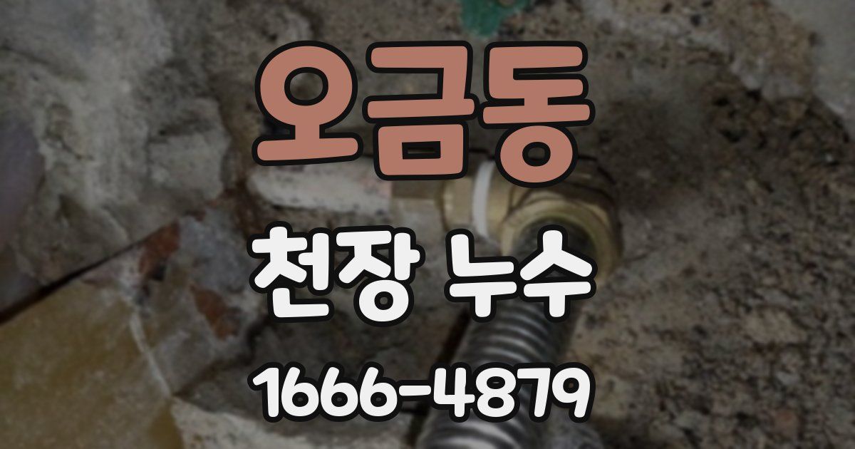 오금동 천장 누수