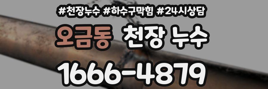 오금동 천장 누수