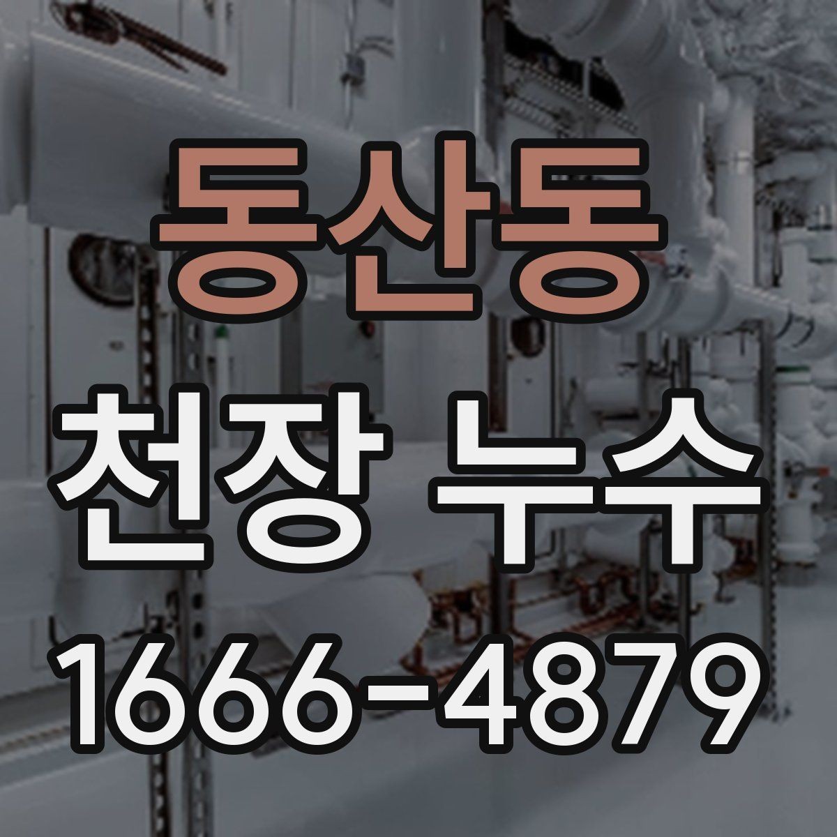 동산동 천장 누수 가구가 젖기 시작했을 때 응급 조치