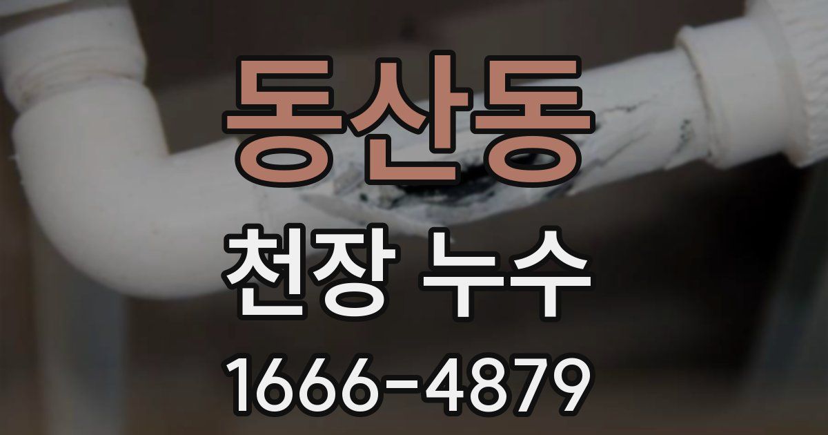 동산동 천장 누수
