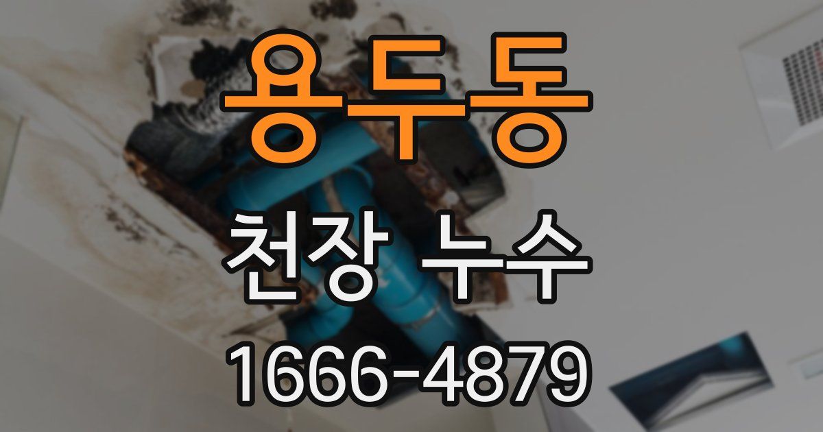 용두동 천장 누수