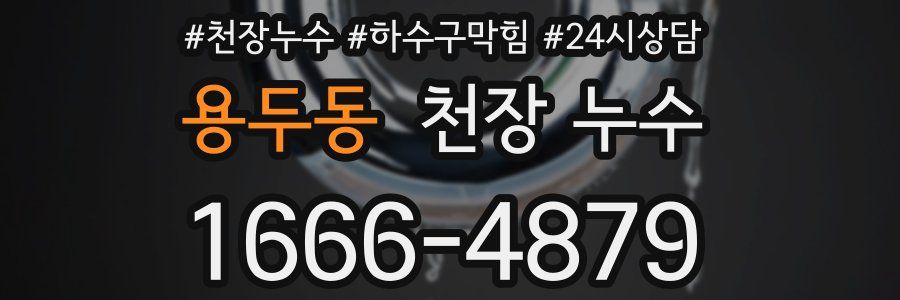 용두동 천장 누수